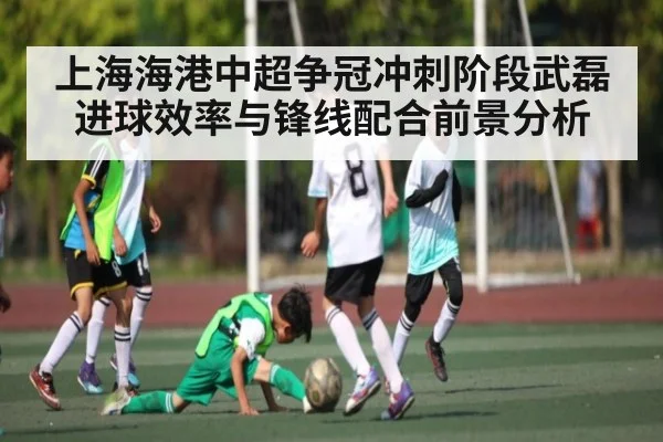 上海海港中超争冠冲刺阶段武磊进球效率与锋线配合前景分析
